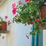 La Casa Cottage